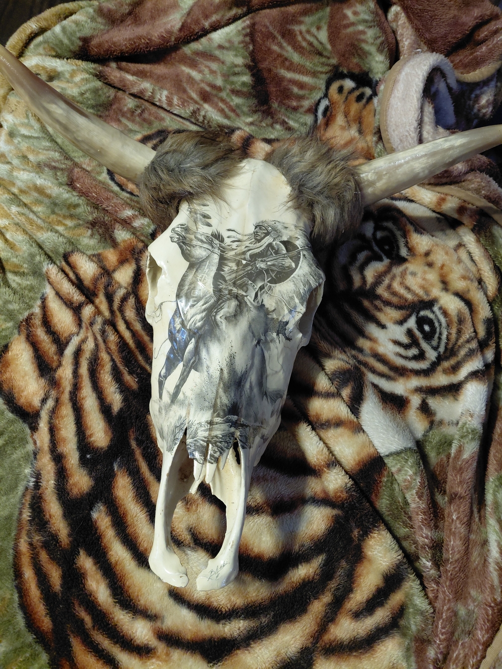 Decorative Western Skull with Horse Artwork - White/Brown